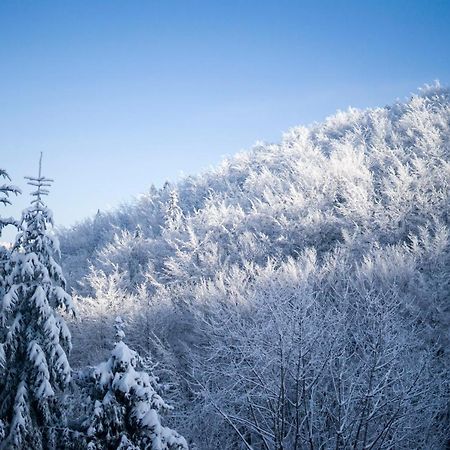 Poniwiec Mala Czantoria Ustron Exterior foto