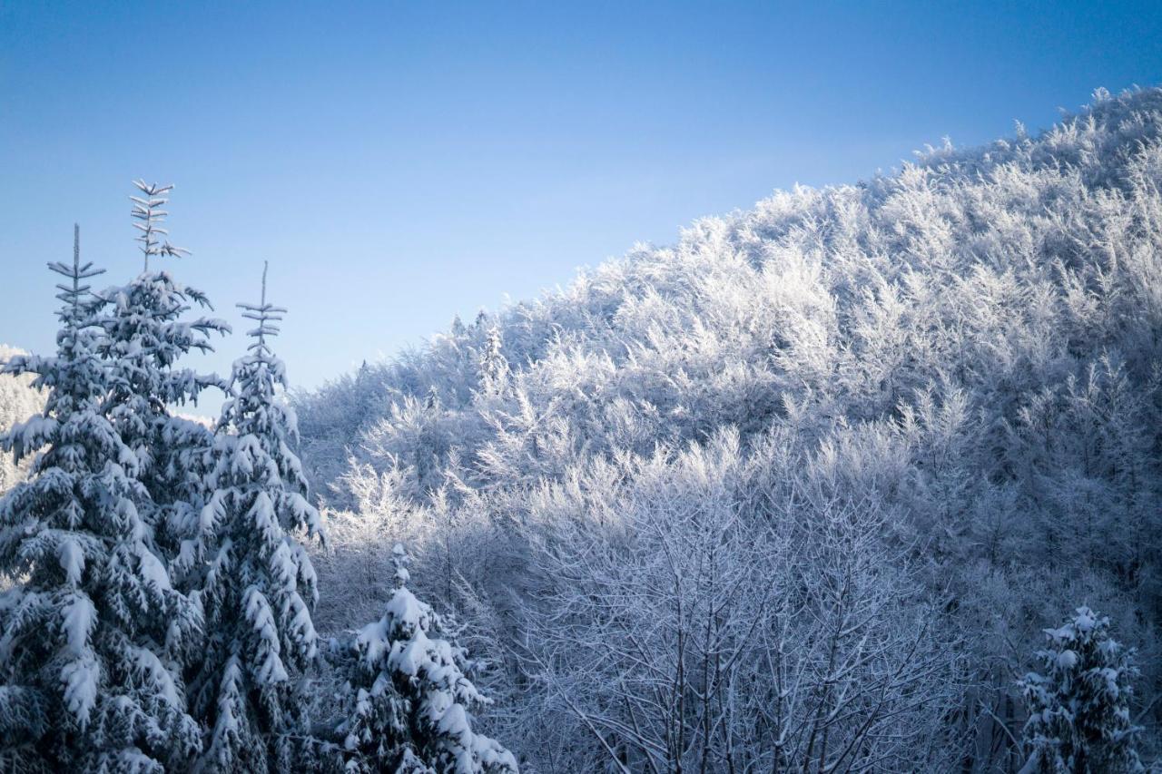 Poniwiec Mala Czantoria Ustron Exterior foto